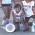 Deportes � Voleibol